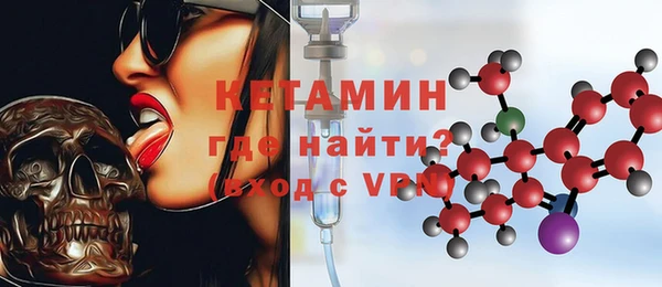 стаф Аркадак