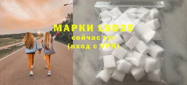 стаф Аркадак