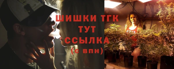 эйфоретик Арсеньев