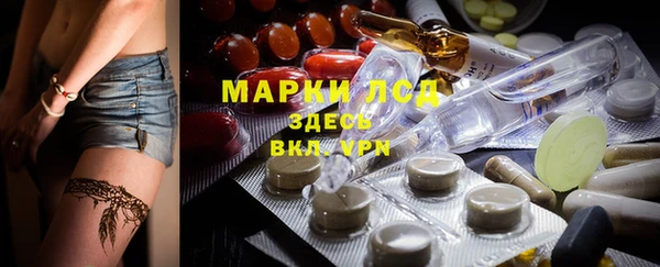 стаф Аркадак