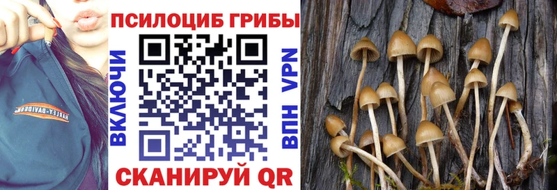 Галлюциногенные грибы Cubensis Палласовка